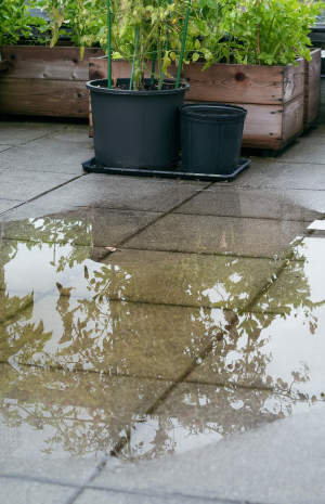 leaking balcony