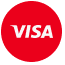 visa icon